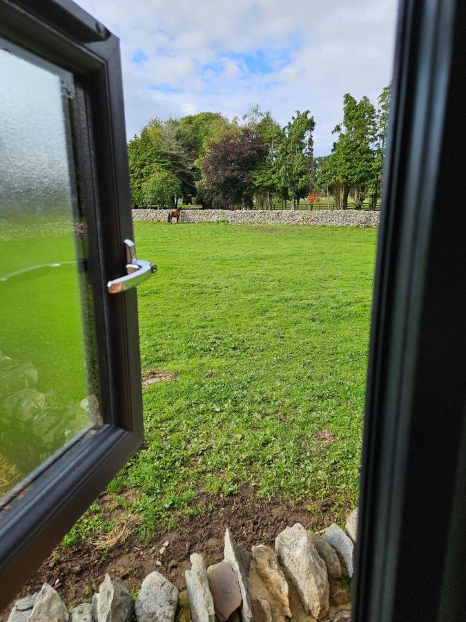 Woodland Shepherds Hut - 'Saga' Caernarfon Exterior photo