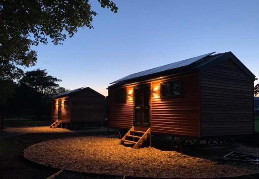 Woodland Shepherds Hut - 'Saga' Caernarfon Exterior photo